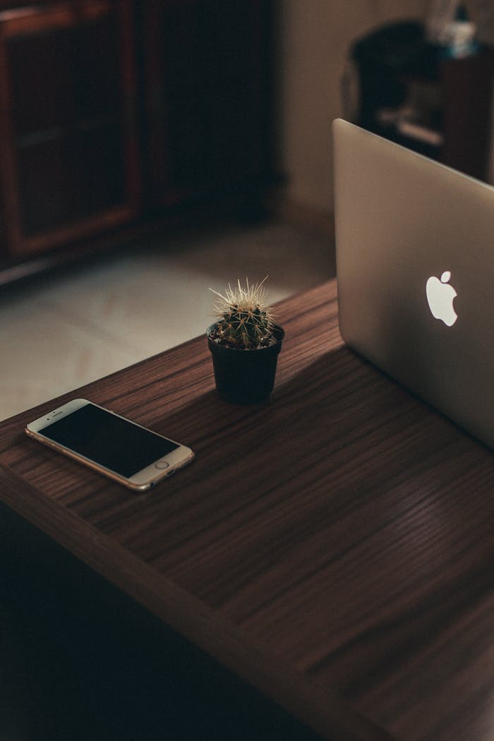 Stylish home office setup with a laptop, cactus, and smartphone on a wooden desk.